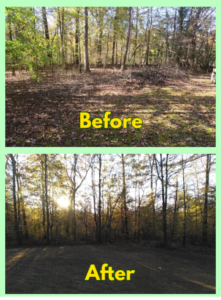 Limb_debris_removal_rockwell_nc_united_family_lawn_care_services