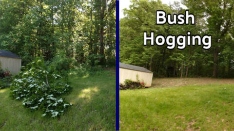 bush_hog_vs_brush_hog_job_kannapolis_north_carolina