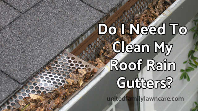 Do I Need To Clean My Roof Rain Gutters?