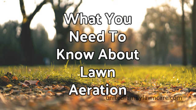 What You Need To Know About Lawn Aeration In Concord, NC